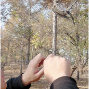 Sample Article