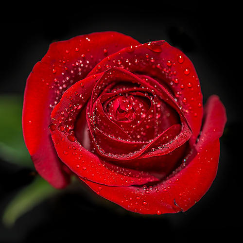 u=3058775624,2601139845&fm=26&gp=0.jpg