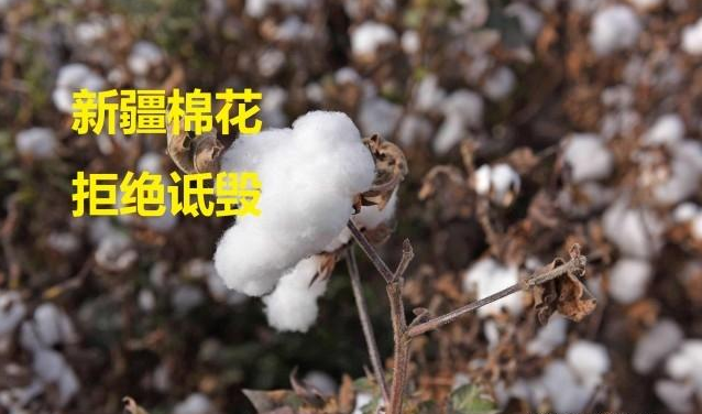 QQ截图20210326163235.png
