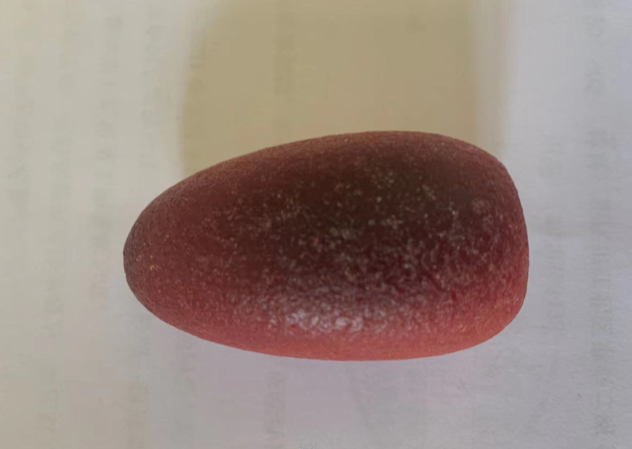 5.png