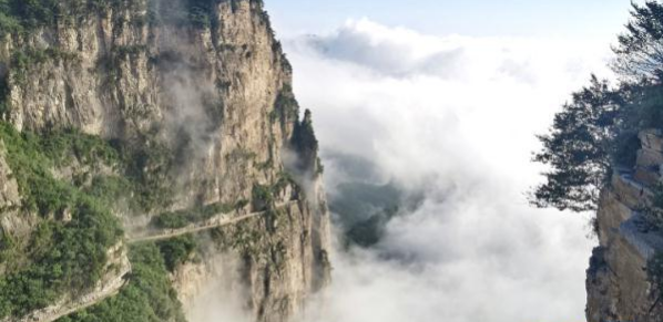QQ截图20210823111646.png