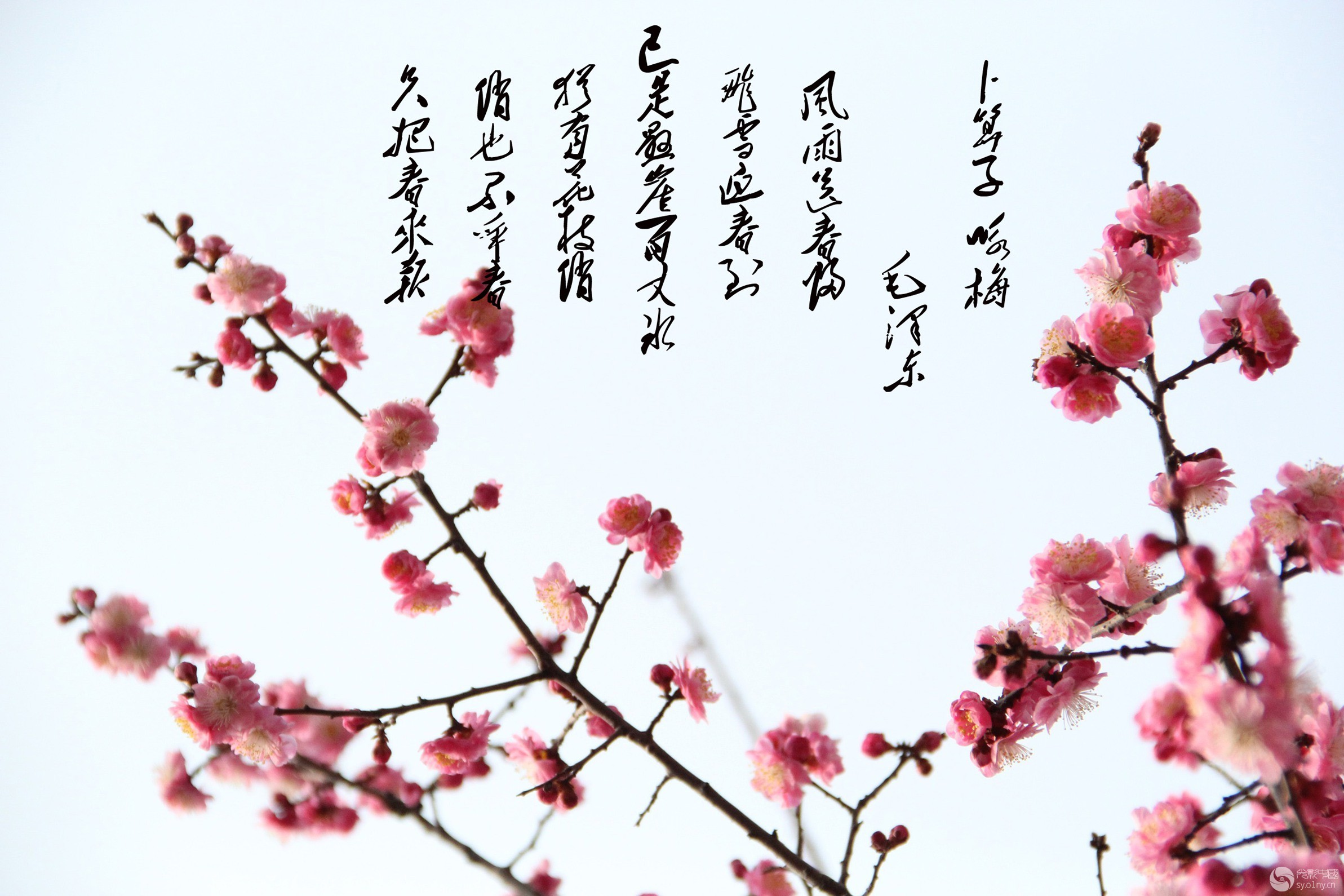 src=http___f.01ny.cn_forum_201403_09_211125c2546m44smit9cd2.jpg&refer=http___f.01ny.jpg