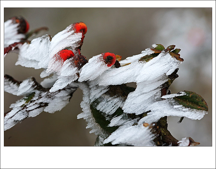 src=http___img.pconline.com.cn_images_upload_upc_tx_photoblog_1212_30_c5_17009875_17009875_1356858080067_mthumb.jpg&refer=http___img.pconline.com.jpg