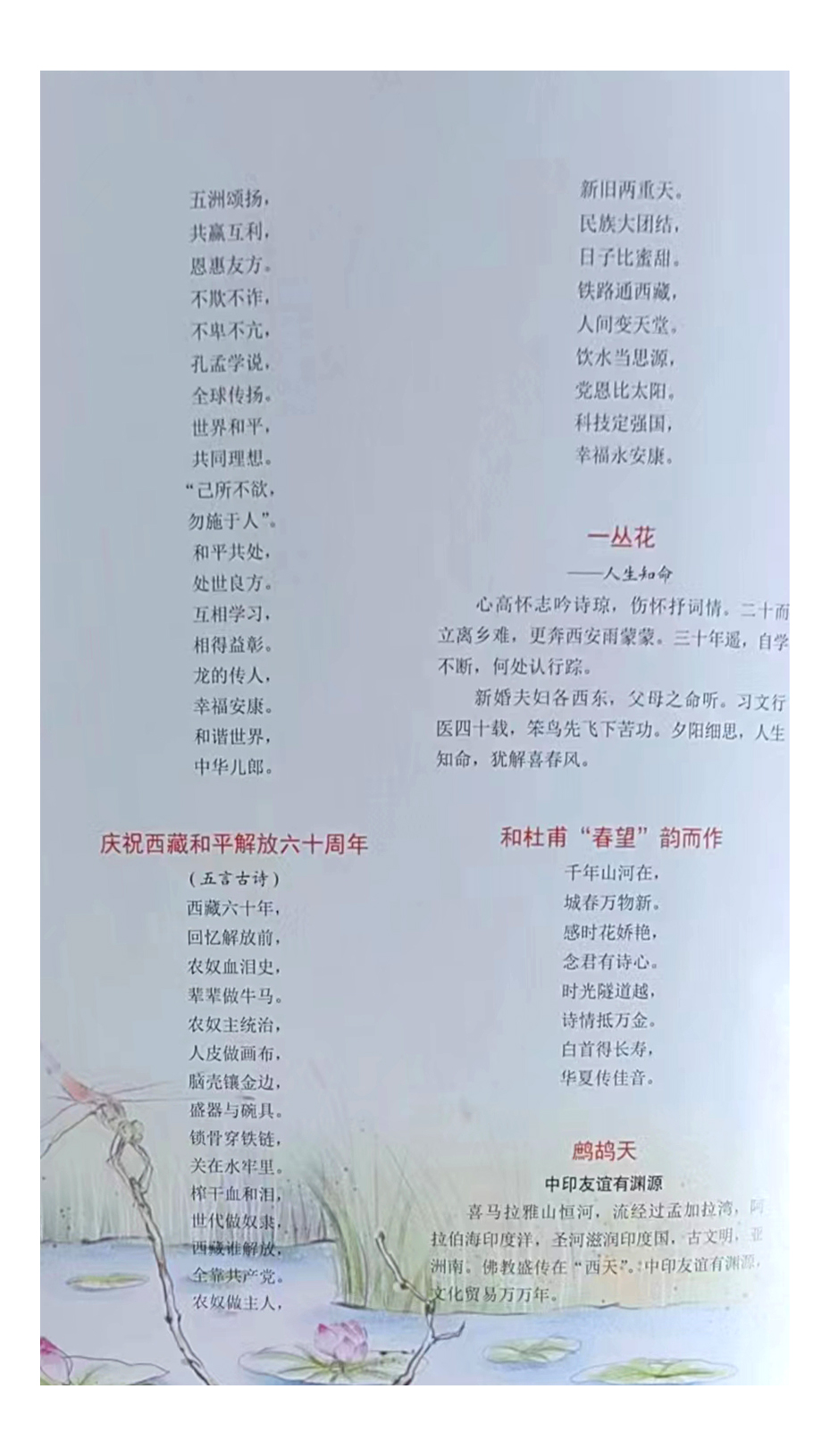 图片24.png