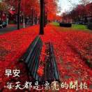 Sample Article